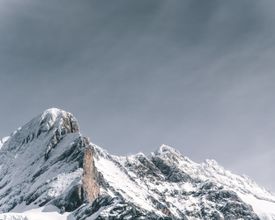 El artículo definido en alemán cover